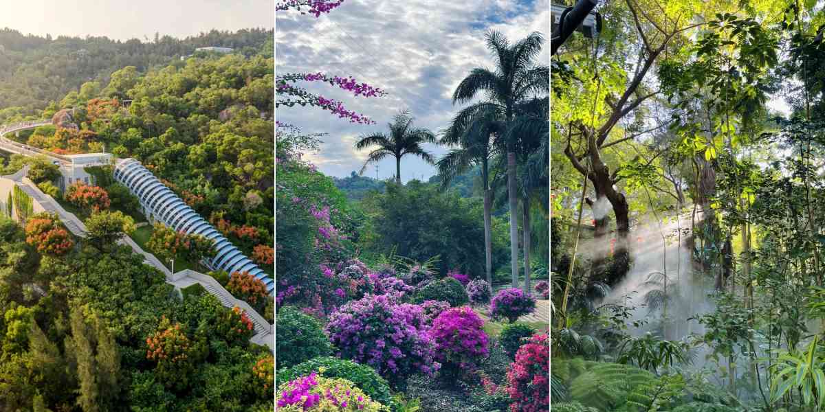 What to Do in Xiamen: Your Complete 2025 Travel Guide & Itinerary