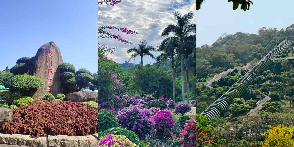 Xiamen Attractions Guide Xiamen Botanical Garden