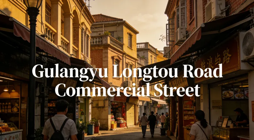 6. Longtou Road Commercial Street